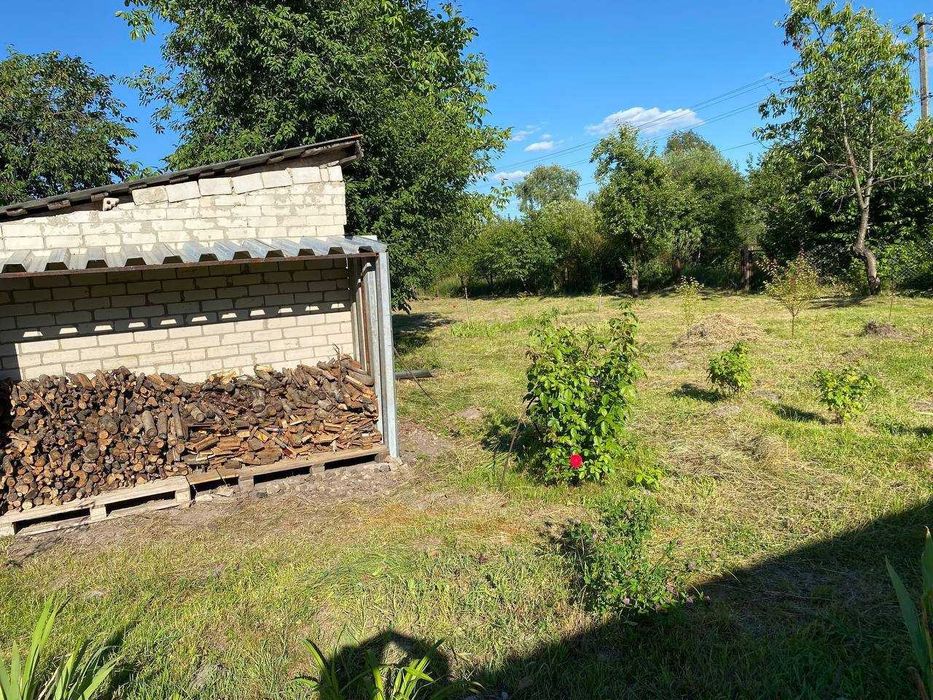 Дача біля лісу та річки на великій ділянці 11 соток. Нова Українка