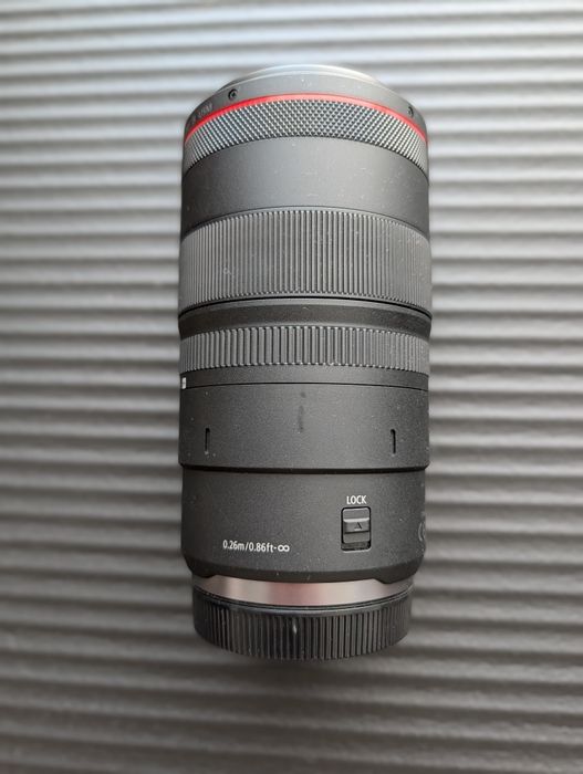 Canon RF 100mm f/2.8L Macro IS USM