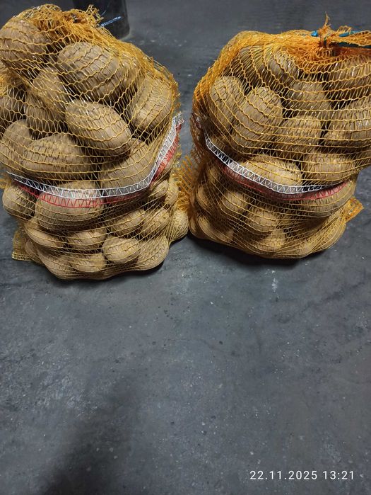 Sprzedam ziemniaki denar