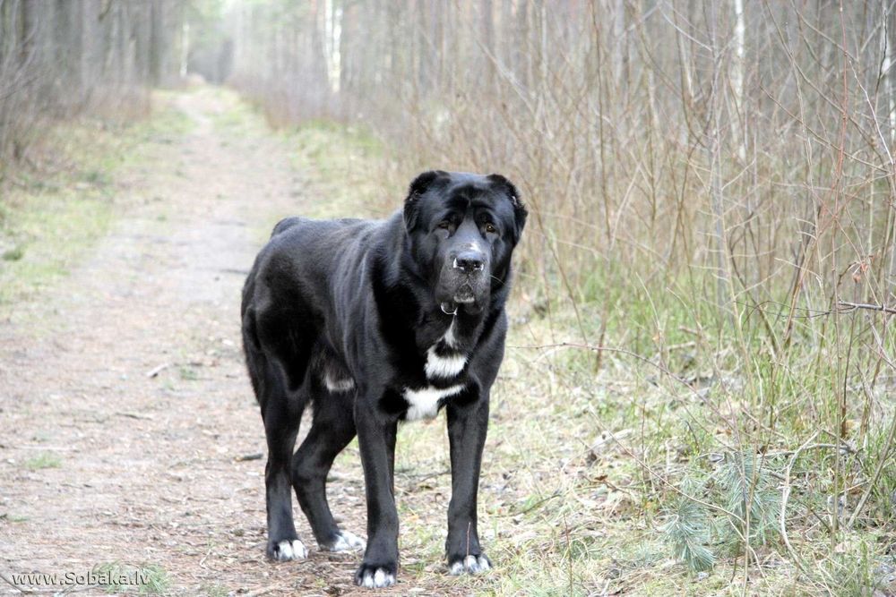 Хлопчик запрошує на в'язку