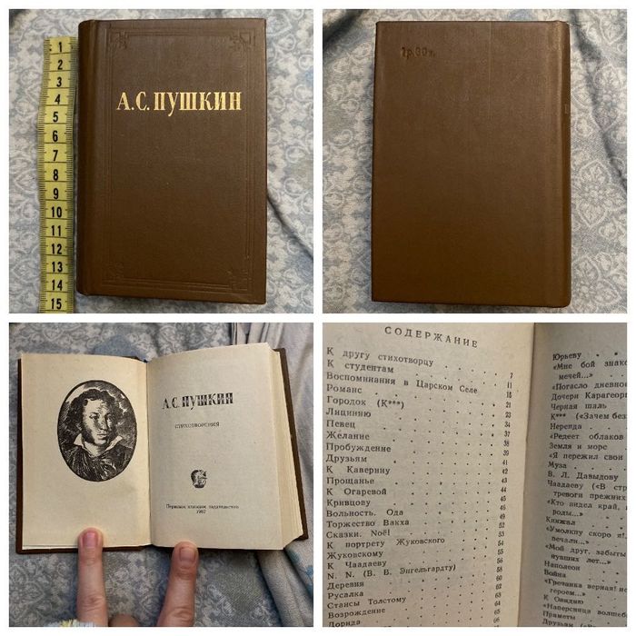А.С. Пушкин. Стихотворения