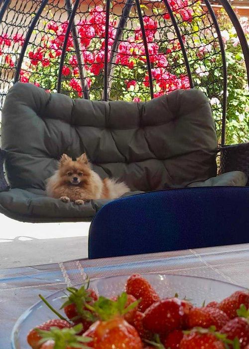 Няня для вашої дитини. Затишок і турбота за містом.