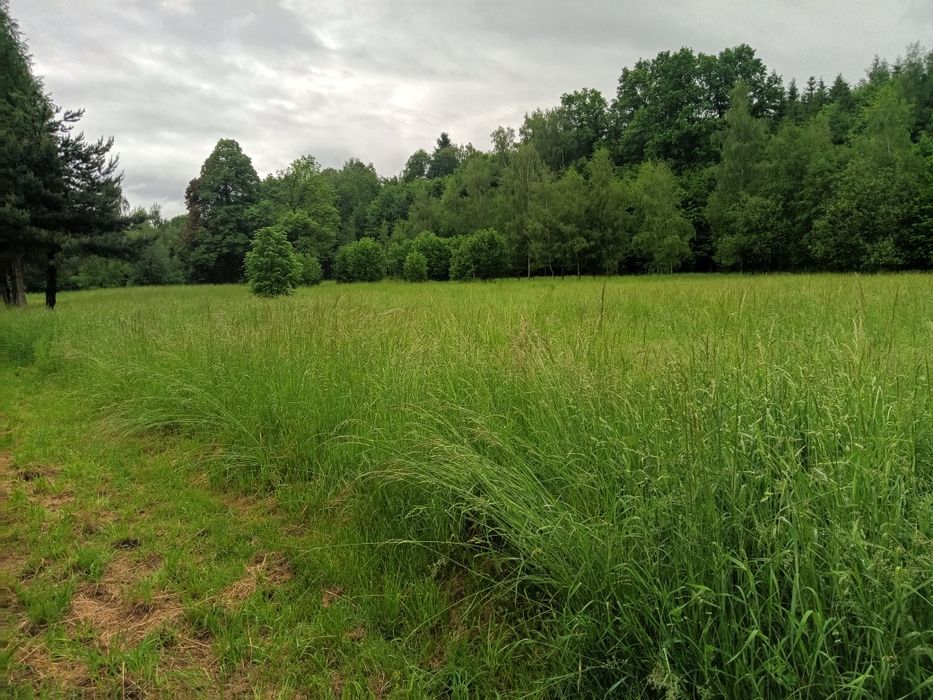 Działka budowlana - Widok 6