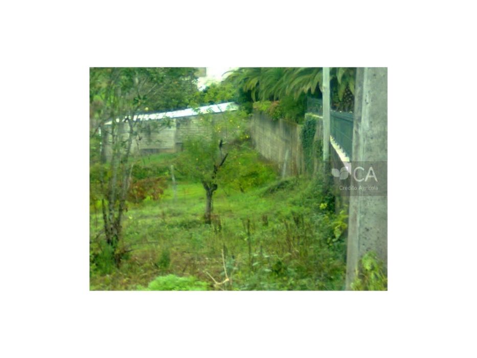 Terreno com capacidade para construção