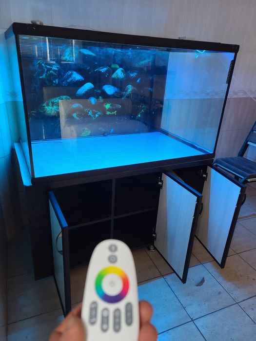 Аквариум 600л + тумба+фон: 8 000 грн. - Аквариумистика Конотоп на Olx