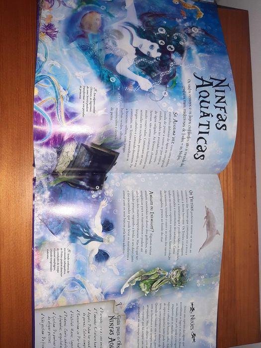 Livro - Criaturas Mágicas