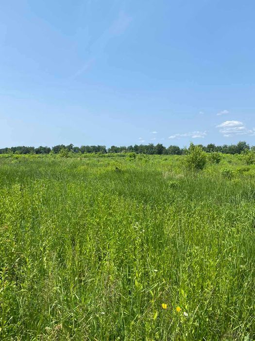 Земельна ділянка Угорники під будівництво