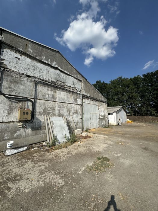 Продам помещение с. Голубовка