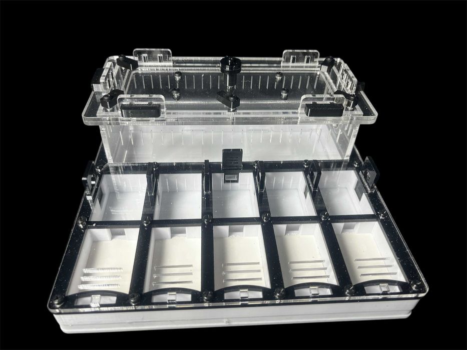 Чорний формикарій для мурашок – професійний будинок для колонії