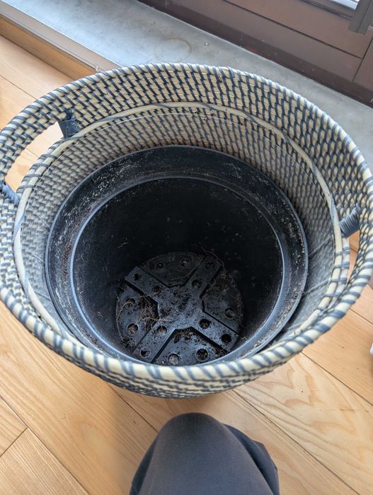 Donica Ikea RÅGKORN 32 cm + doniczka produkcyjna