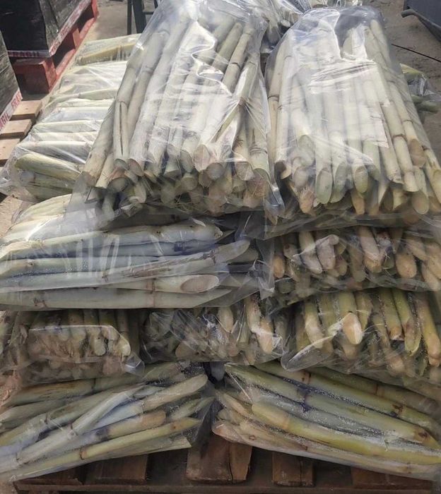 Vendo cana-de-açúcar