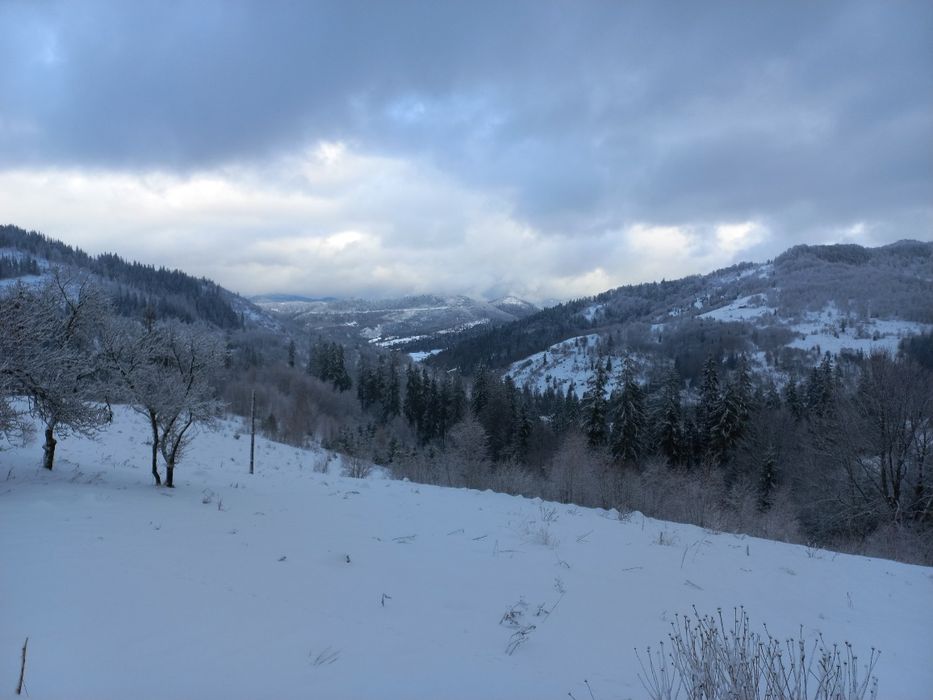 Продається земельна ділянка для ведення садівництва