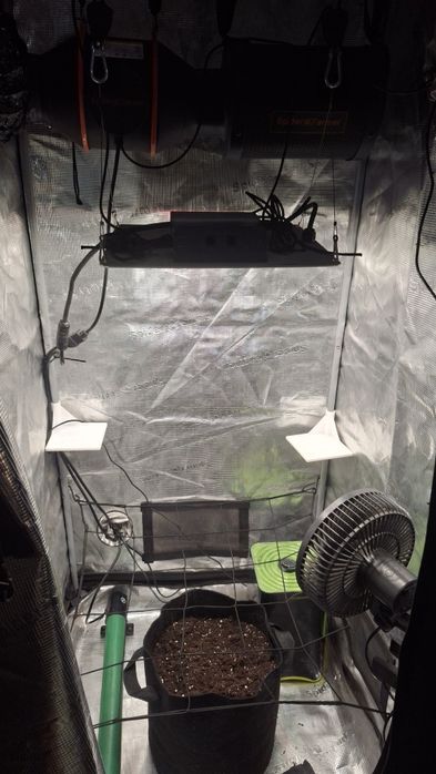 Grow box zestaw do uprawy roślin spider farmer