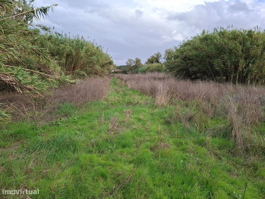 Terreno rústico - 5312m² - Asseiceira Grande