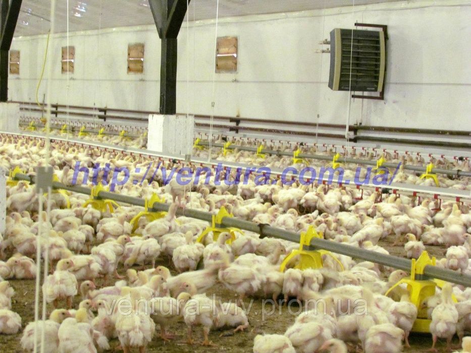 Обладнання для птахофабрик та вентиляція для птахокомплексів