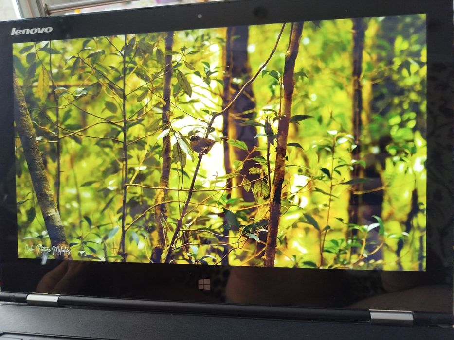 lenovo ideapad yoga 13 - купити ноутбуки - Ціна на OLX.ua