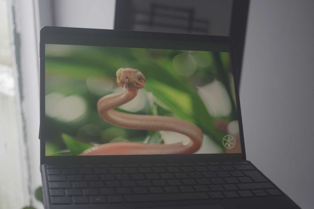 Microsoft Surface Pro 8 (i7)