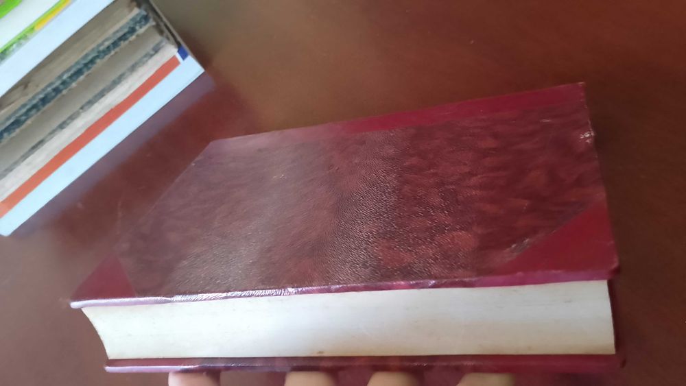 Teoria Geral da Relação Jurídica Manuel A. Domingues