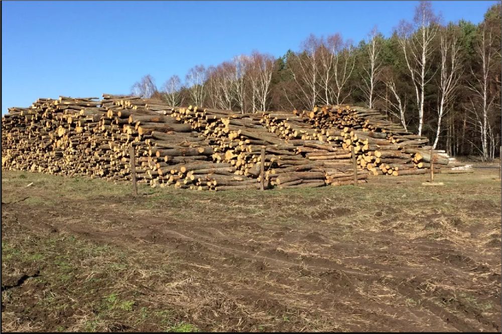 Drewno Kominkowe GRAB Zielona Góra I Okolice Drzewo