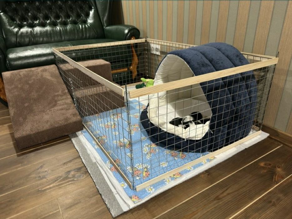 Манеж, Вольер, Клетка, Клітка для собак, щенков, котят, кошек, кролик