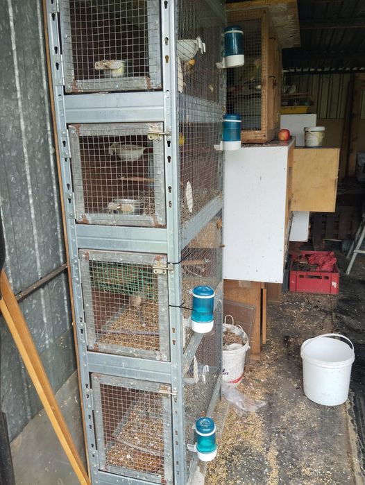 Woliera regał klatka