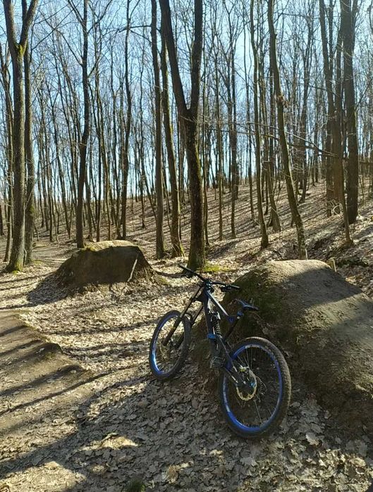 rower canyon torque frx  DH FR