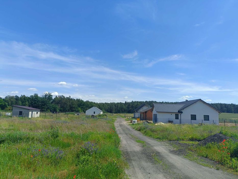 Działka rolno-budowlana Laski Lubuskie pow. Słubice 85 km.od Berlin