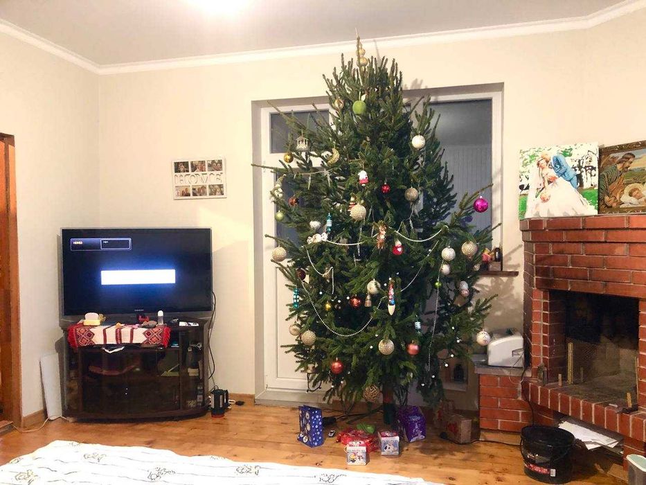 Продаж будинку і земельної ділянки