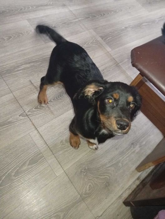 Дівчинка 3 місяці