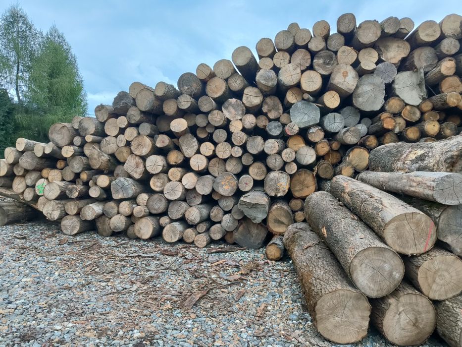 Drewno opałowe kominkowe