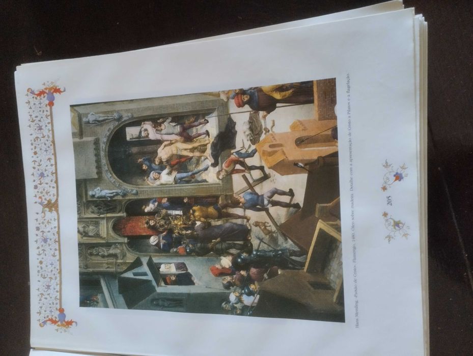 Bíblia Sagrada Antigo Testamento Ilustrado 2 volumes