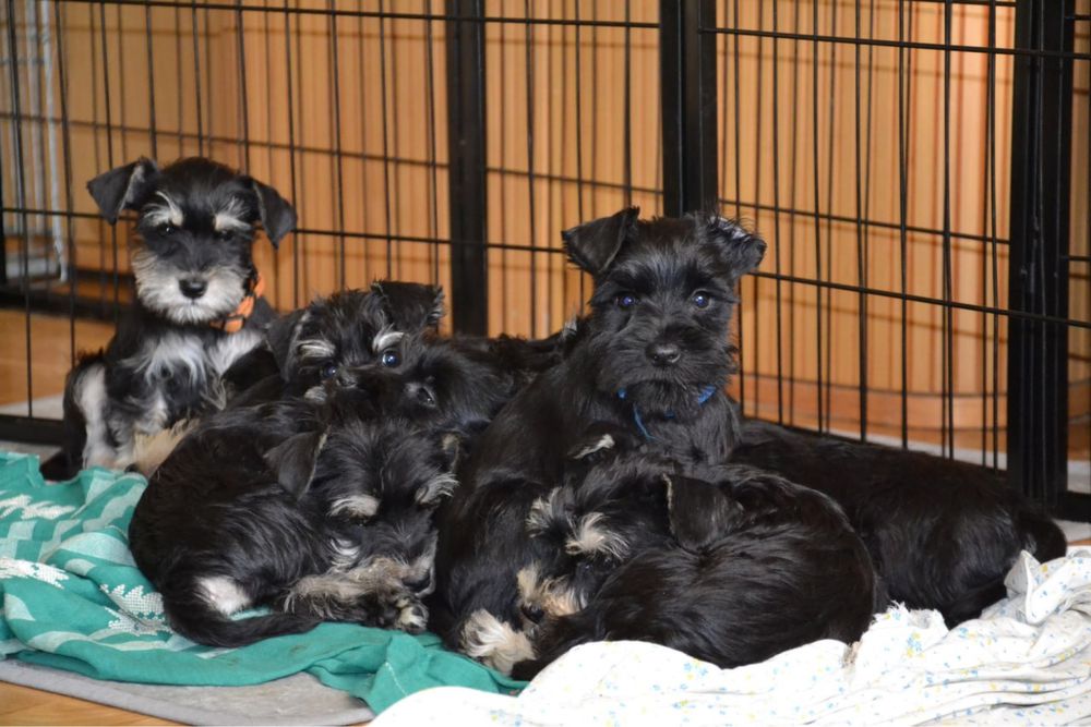 Подаруйте собі свято