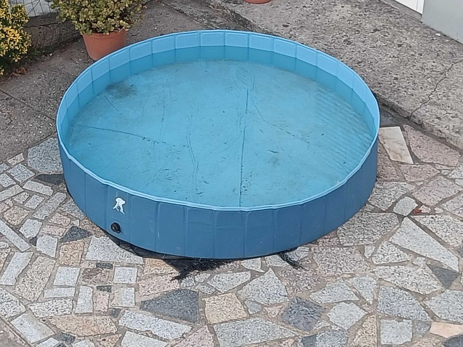 Piscina para crianças / cães com 180 cm x 30 cm