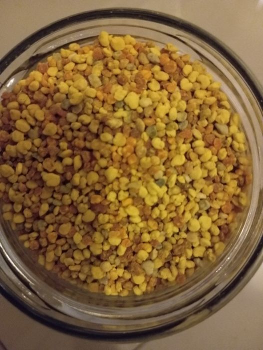 Pyłek kwiatowy pszczeli hurt