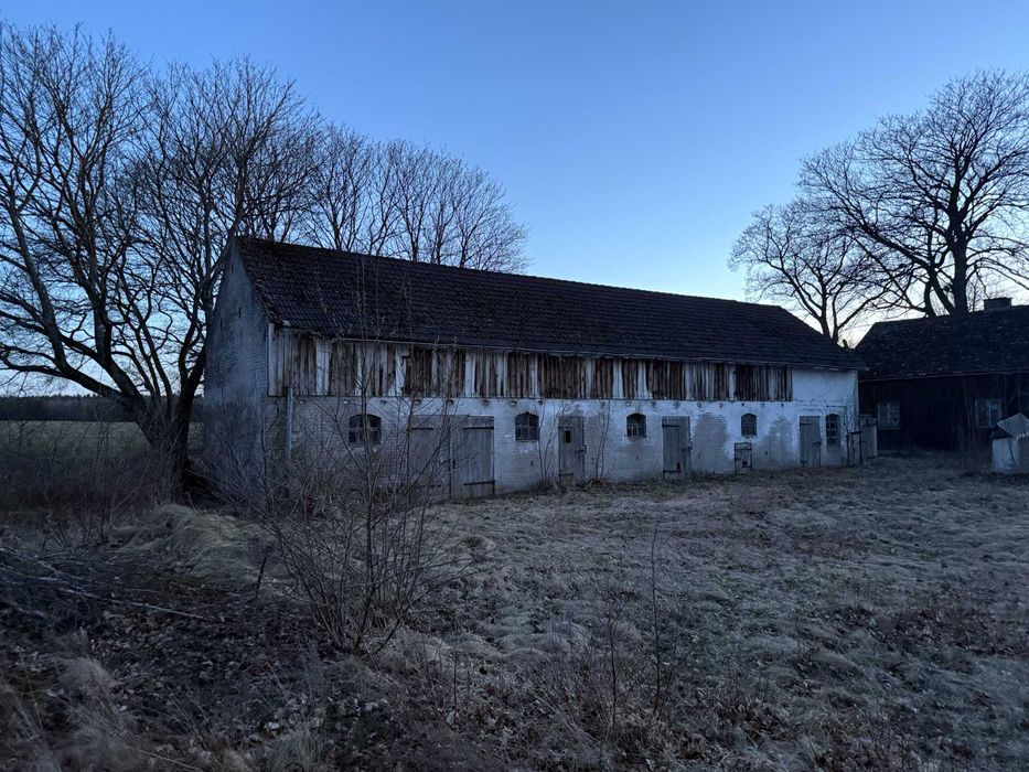Koczała / Bielsko – klimatyczne siedlisko z dużą stodołą, na końcu wsi - Widok 6