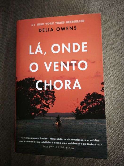 Livro recente e como novo