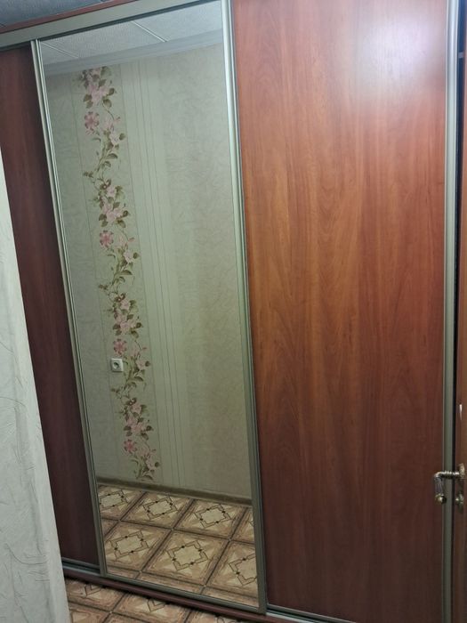 Шафа-купе звичайна