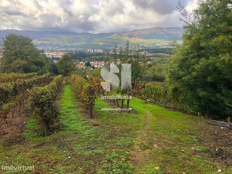 Terreno em Vila real