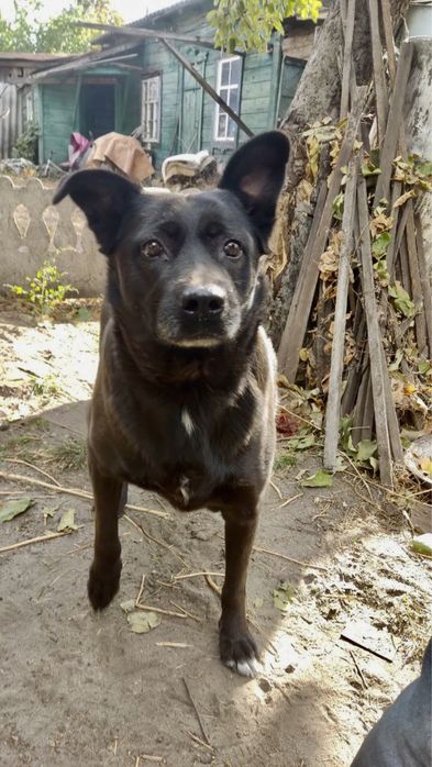 Забери мене додому!