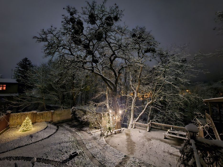 Квартира-котедж в центрі з видом на ліс