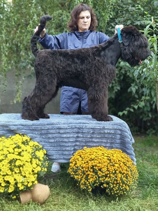 Хлопчики 5,5 місяців