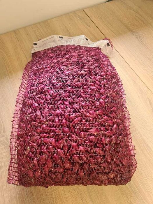 Cebula Dymka Czerwona Karmesa 5-21mm Worek 10kg