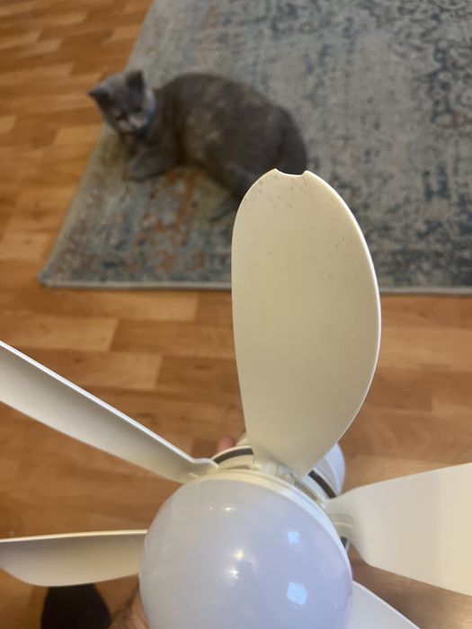 Wentylator sufitowy, lampa