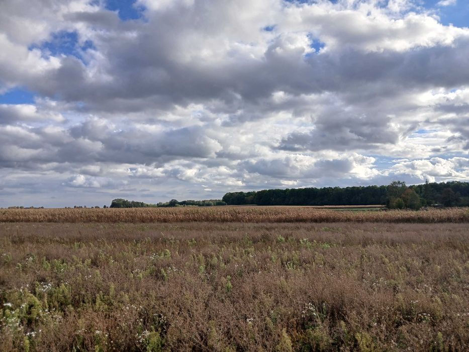 Działka budowlana 10 arów | Krężnica Okrągła | Blisko lasu | 20 km od Lublina