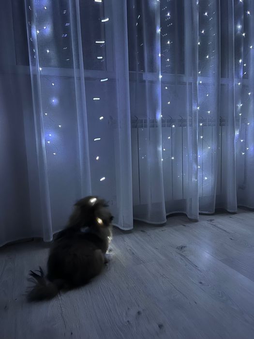 Гирлянда, новорічна гирлянда, гирлянда штора 3*3 метри