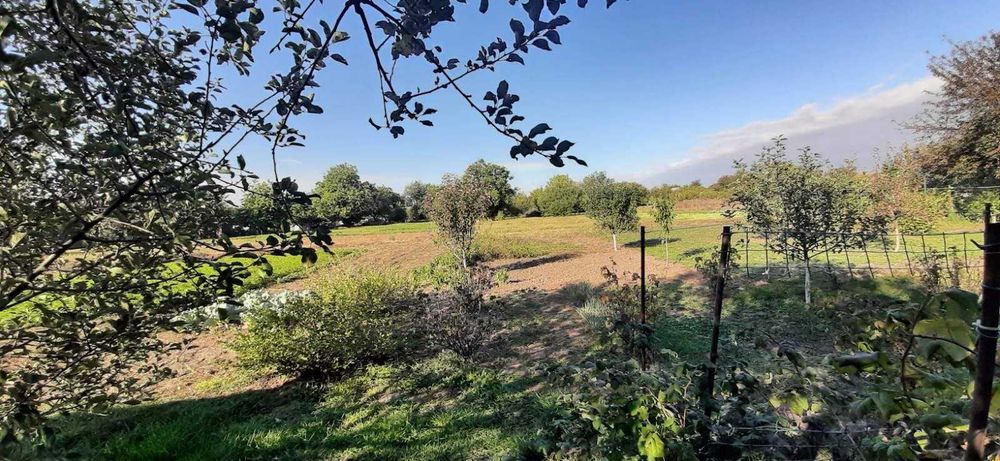 Продається будинок в м. Диканька