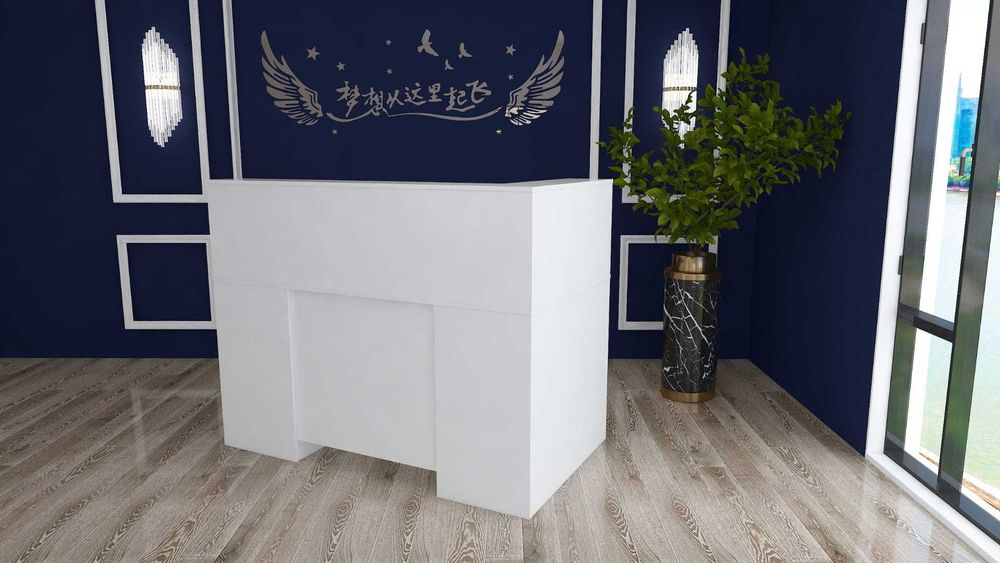 Lada recepcyjna Boston-efektowna i funkcjonalna przestrzeń powitania