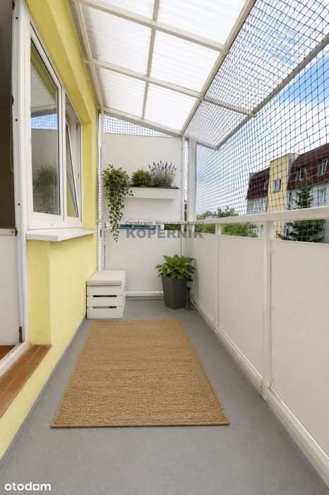 Dwa pokoje, cegła, duży balkon.