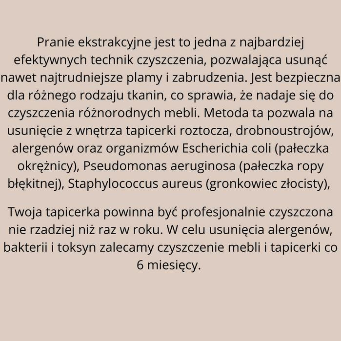 Pranie dywanów, wykładzin, tapicerki meblowej i samochodowej