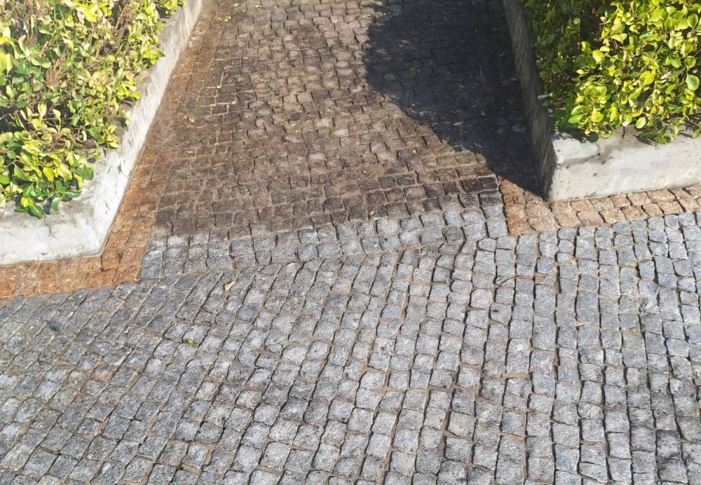 Limpezas se chão, paredes e murros, pintura também e trabalhos de jardinagem